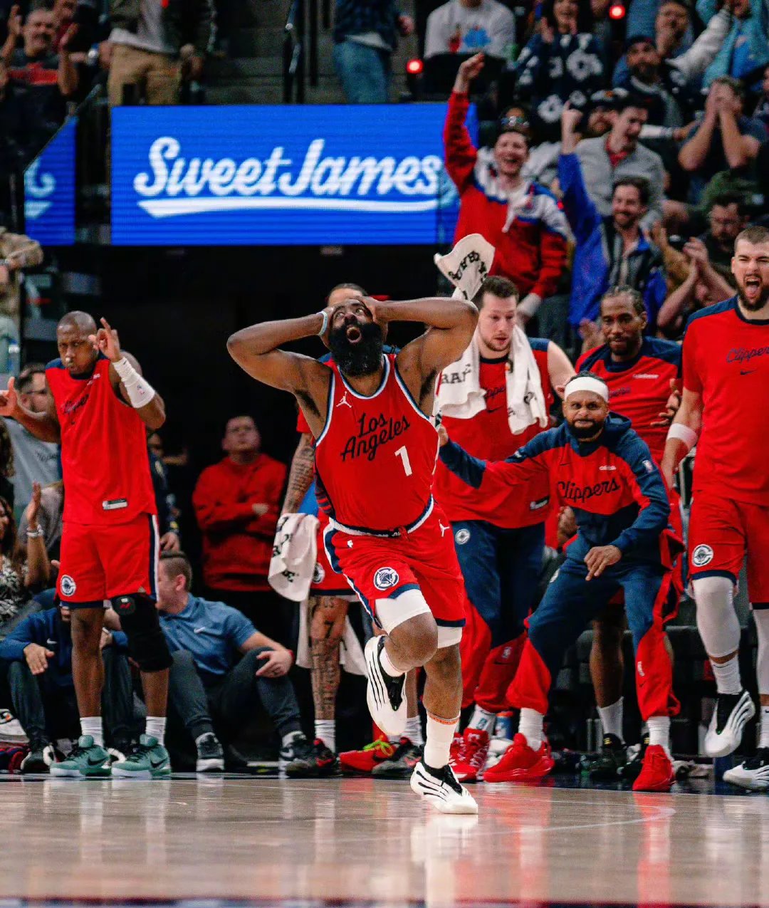 开云体育官方网站-鹈鹕鏖战快船，浓眉哥带队取胜